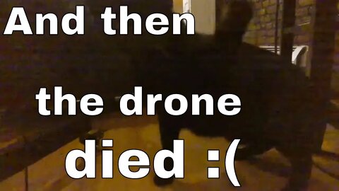 Clinton the cat destroys a DJI Tello drone.