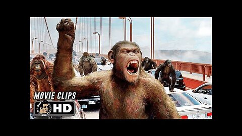 New English movie Clip Rise of the Planet | Best Seen Rise of the planet .