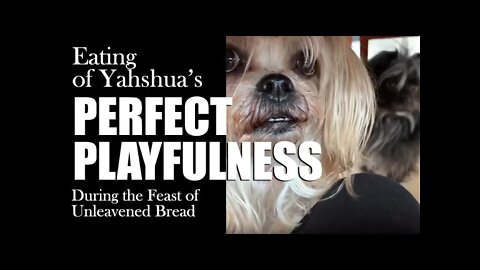 Feast of Unleavened Bread | Ye'shua's Perfect Playfulness