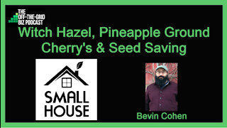 Small House Farm: Witch Hazel, Pineapple Ground Cherry's & Seed Saving