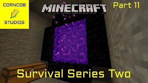Into The Nether | Minecraft | Survival Series Two | Part 11