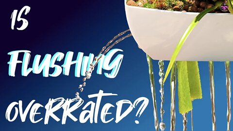 Is flushing orchids overrated? Mounted orchids | Potted up orchids | ORGANIC | INORGANIC media! 💦💦