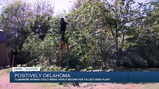 Claremore woman could break world record for tallest okra plant