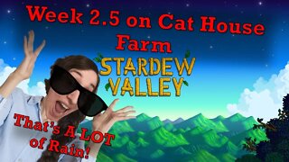 Stardew Valley Week 2.5 Everyday Let's Play