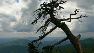 Drive To Top of Mt Mitchell State Park NC