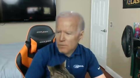 LMAO! This Cat Don't Like Biden