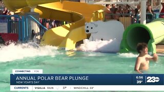 Polar Bear Plunge set to return