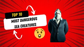 Top 10 Dangerous Sea Creatures 2023
