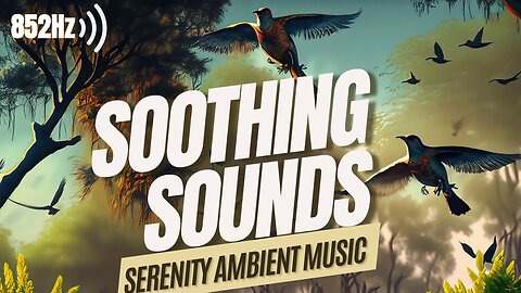 852 Hz Ambient Music for Tinnitus Relief: Experience Soothing Sounds for Inner Calm and Healing