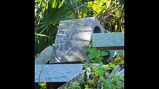 Cemetery Tombstones Hidden in the Woods