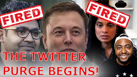 Elon Musk FIRES Twitter CEO & Top Censorship Executives IMMEDIATELY After Officially Closing Deal!