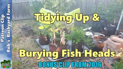 Burying Fish Heads & Container Garden - Supporters Clip October 2016