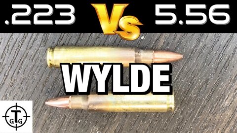 Can I run a 5.56 in a .223 Wylde Rifle Safely?