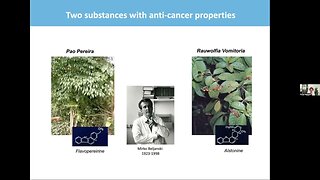 These Plants Are Wiping Out Cancer Stem Cells!