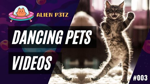 😺 CATS and DOGS 🐶 Dancing Pets Animal Videos - #003 #PETS #FUNNYPETS #CATS #DOGS