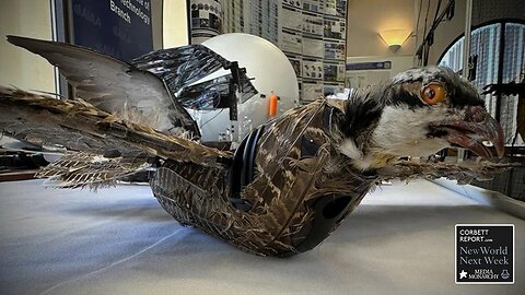 Birds Aren't Real, But Technocracy Is! - #NewWorldNextWeek