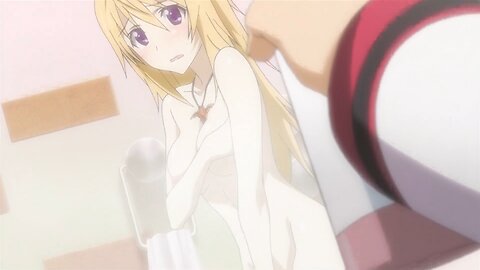 Infinite Stratos - true gender reveal