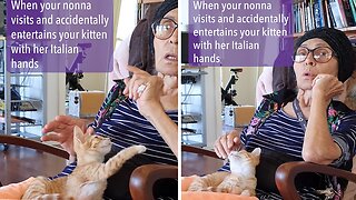 Nonna entertains my kitten