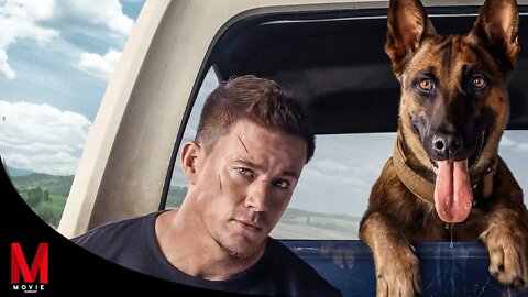 Dog 2022 Movie Review Movie Recap