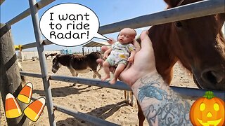 Farm Trip for Mini Silicone Baby| Did I get Bit by a Horse?! Changing Reborn Baby Doll| nlovewithr..