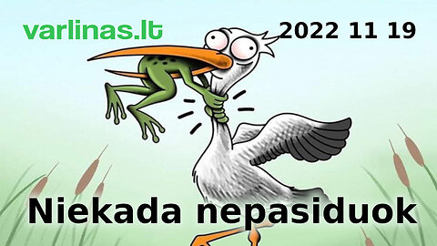 Varlinas tiesiogiai - 2022 11 19 - Niekada nepasiduok