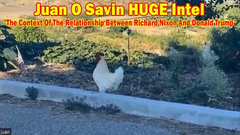 Juan O Savin HUGE Intel: "The Context Of The Relationship Between Richard Nixon And Donald Trump"