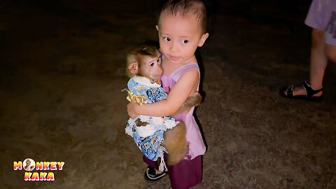 Baby Daim Wants to hold monkey Kaka for a walk is so cute