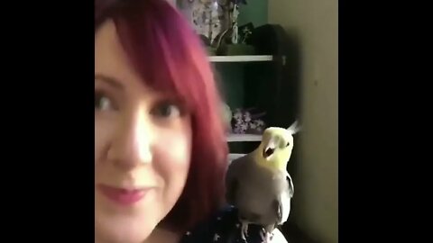 The parrot is mimicking her | #shorts , #parrotvideo , #parrottalking