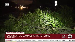 Assessing the damage throughout Port Huron