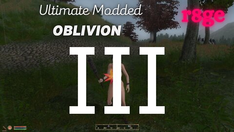Ultimate Modded OBLIVION Journal Entry Three