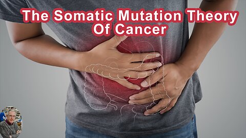 Evidence That Challenges The Somatic Mutation Theory Of Cancer