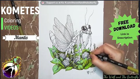Vibrant Coloring of a Praying Mantis: Unleash Your Creativity!