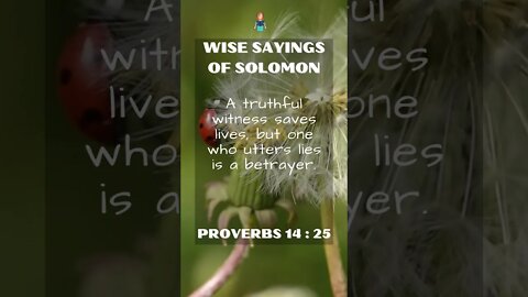 Proverbs 14:25 | NRSV Bible | Wise Sayings of Solomon