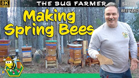 Making Spring Bees During Winter | Time to feed the Queen #beekeeping #insects #8K