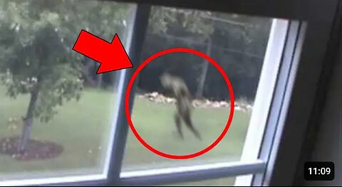 5 Mysterious Creatures Caught on Tape _ Top 5 STRANGE Creatures