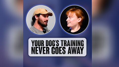 Your dog’s training never goes away