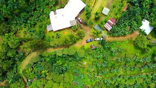 2022 Costa Rica Farm-Tour: Beautiful 18 Year-old Homestead + Farm (Part One)