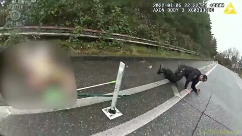 Police officer shoots, kills suspect in Seattle after stabbing and killing K9 Officer Jedi