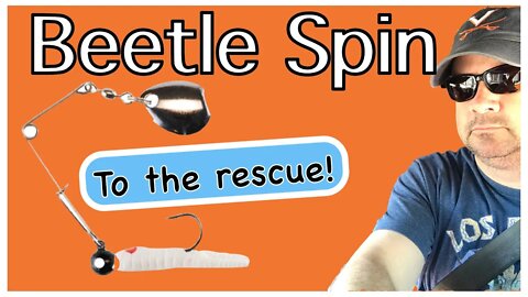 Beetle Spin is still awesome! Catching fish in the winter.