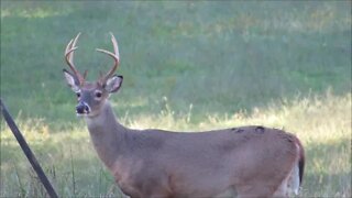 First Kentucky Deer hunt VLOG. Buck, Turkeys, relaxation and a DEER BLIND MOVE?