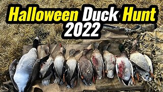 Halloween Duck Hunt 2022