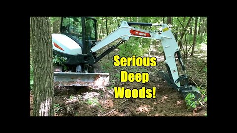 Fixing washed out cattle pond dam deep in the woods... Bobcat e42 R series mini excavator