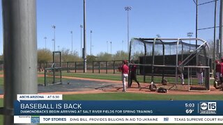 Diamondbacks start arriving for Spring Training after lockout ends