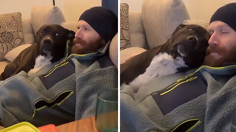 Dog And Owner Adorably Cuddle On The Couch