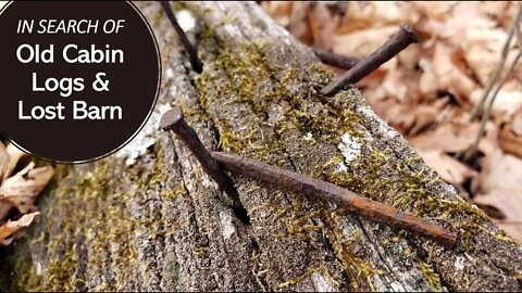 IN SEARCH OF Old Cabin Logs & Lost Barn in Kentucky woods 12-22-19