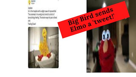 Big Bird Tweets Elmo!
