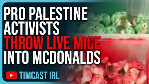 PRO PALESTINE ACTIVISTS THROW LIVE MICE INTO MCDONALDS, THIS IS EVIL