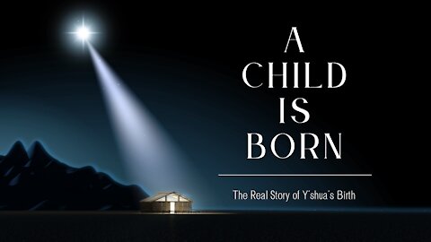 221. A Child Is Born: The Real Christmas Story