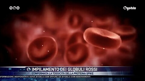 NWO, VACCINI: Effetti Avversi, Spike e Globuli Rossi, Byoblu 5/01/2023