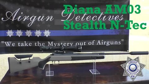 Diana AM03 Stealth N-TEC .22 caliber, Breakbarrel Combo "Complete Review" By Airgun Detectives